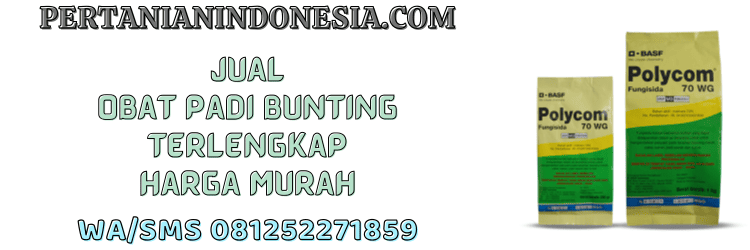 jual,murah,terjangkau,toko pertanian terdekat,pertanian indonesia